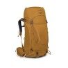 Barley Brown