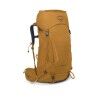 Barley Brown