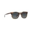 Costa Sullivan - Gafas de sol | Hardloop