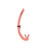 Corail