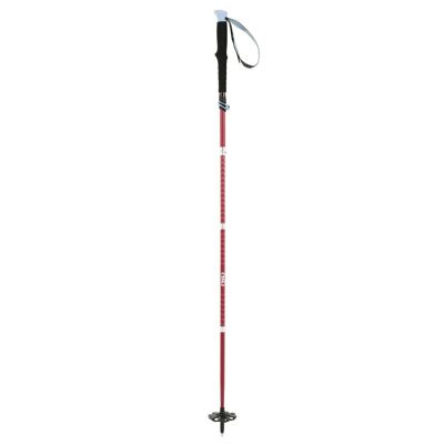 ALTI C5 ULTRA CROSS Twist - Kije trekkingowe