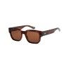 Shiny Tortoise / Brown