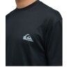 Quiksilver Everyday Surf Tee Ss - Pánské triko | Hardloop