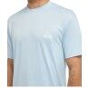 Quiksilver Everyday Surf Tee Ss - T-shirt - Men's | Hardloop