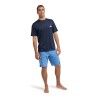 Quiksilver Everyday Surf Tee Ss - T-shirt - Men's | Hardloop