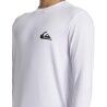 Quiksilver Everyday Surf Tee Ls - T-shirt homme | Hardloop