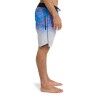 Quiksilver Highline Printed 20 - Boardshorts - Men's | Hardloop