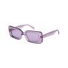 Shiny Purple / Purple
