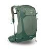 Pine Leaf Green
