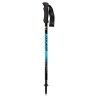 Fizan Compact - Trekking poles | Hardloop