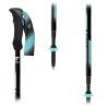Fizan Compact 4 - Trekking poles | Hardloop