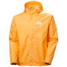 Orange Sorbet