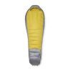 Zinc / Dark Pollen