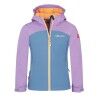 Violet Sorbet / Cornflower