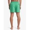 Quiksilver Everyday Deluxe 15" - Maillot de bain | Hardloop