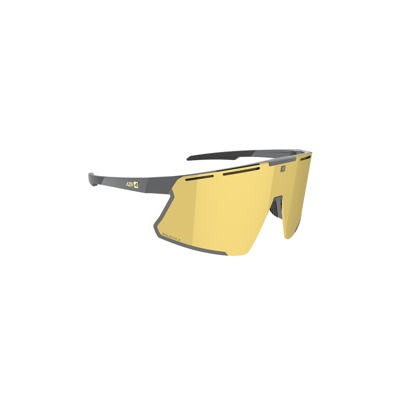 Vision RX Magnetique Cat 3 - Cycling sunglasses