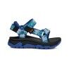 Ocean Creatures Dazzling Blue