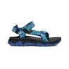 Ocean Creatures Dazzling Blue