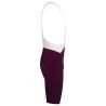 Rapha Men's Pro Team Bib Shorts III - Regular - Fahrradhose - Herren | Hardloop