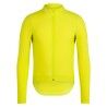 Chartreuse / White