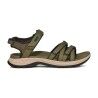 Burnt Olive