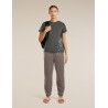 icebreaker Merinos Core SS Tee Panax - Merino shirt - Women's | Hardloop