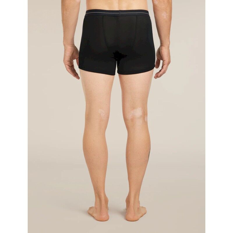 icebreaker 175 Everyday Boxers wFly - Merino Wool Boxer | Hardloop