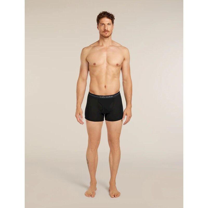 icebreaker 175 Everyday Boxers wFly - Merino Wool Boxer | Hardloop