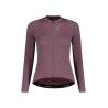 Stormy Lilac