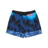 Monaco Blue Thermotropics
