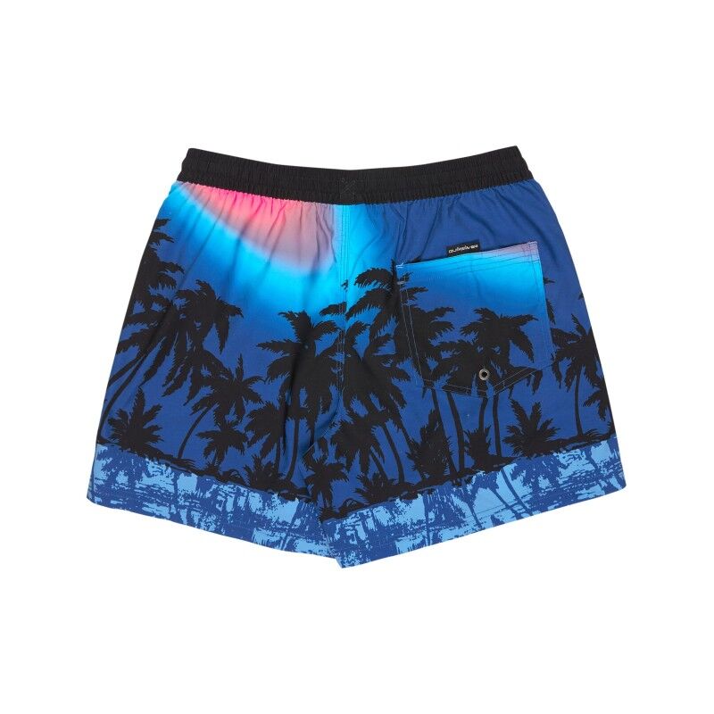Quiksilver Everyday Printed Volley 15 - Bañador para hombre | Hardloop