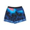 Quiksilver Everyday Printed Volley 15 - Men's Swim short | Hardloop