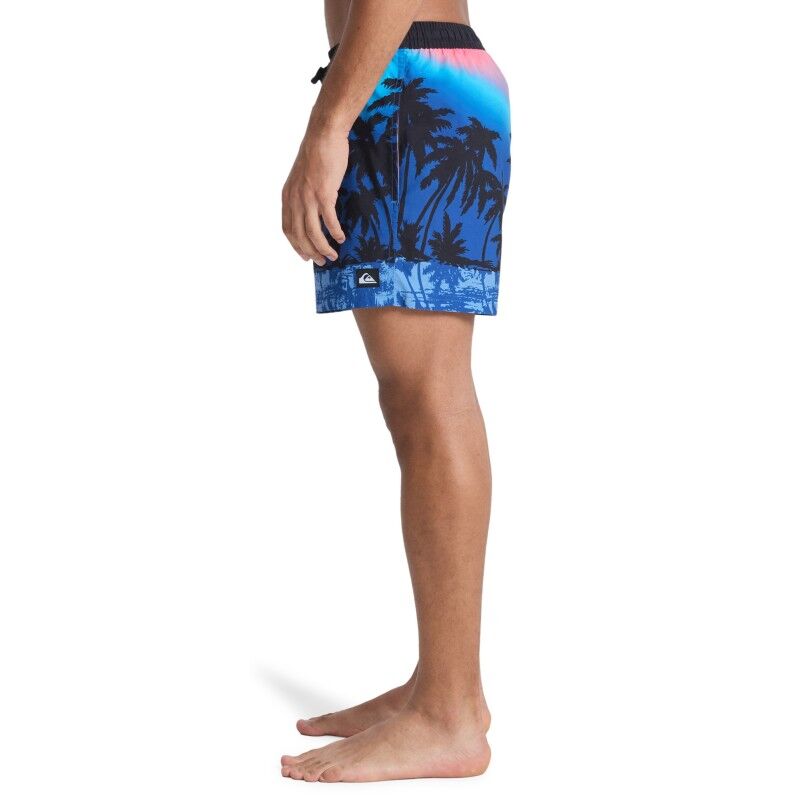 Quiksilver Everyday Printed Volley 15 - Short de bain homme | Hardloop