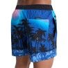 Quiksilver Everyday Printed Volley 15 - Zwemshort voor heren | Hardloop