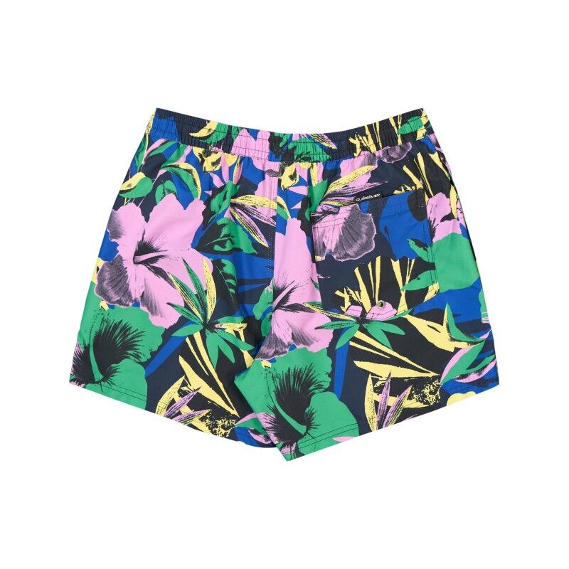 Quiksilver Everyday Printed Volley 15 - Szorty kąpielowe meskie | Hardloop