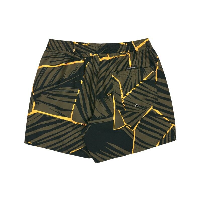 Quiksilver Everyday Printed Volley 15 - Badshort för herr | Hardloop