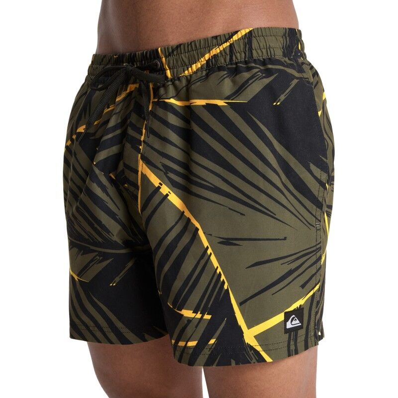 Quiksilver Everyday Printed Volley 15 - Badshort för herr | Hardloop