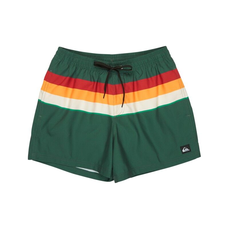 Everyday Printed Volley 15 - Szorty kąpielowe meskie