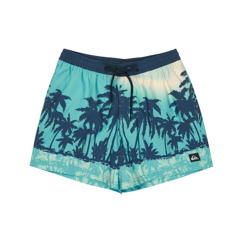 Everyday Printed Volley 15 - Men's Swim short
