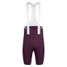 Plum / White