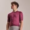 Raspberry / Plum