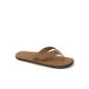Classic Brown