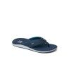 Navy / Grey