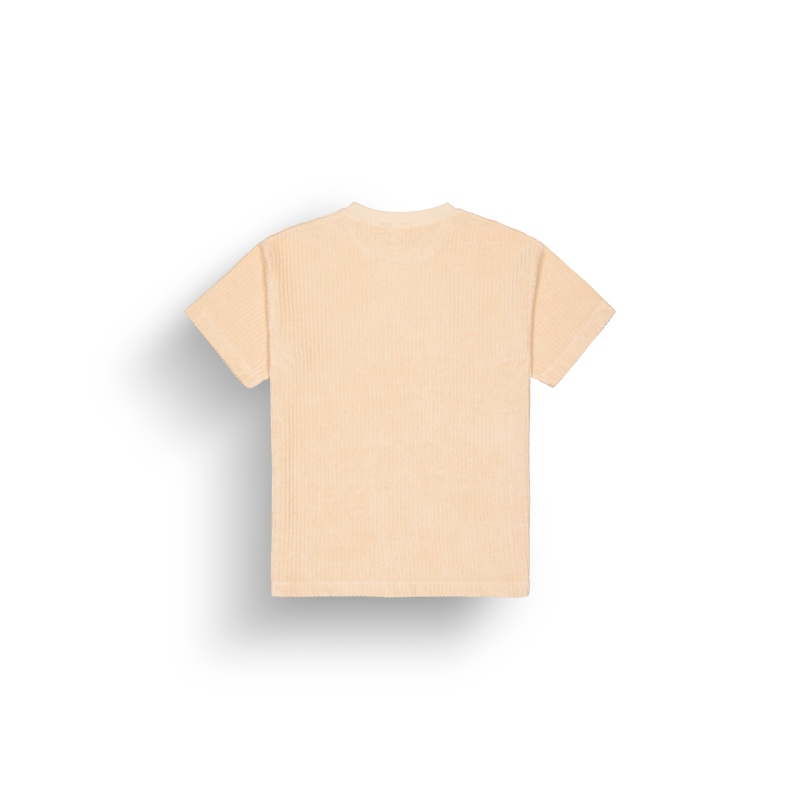 Picture Organic Clothing Laikko Velours Tee - T-shirt - Women's | Hardloop