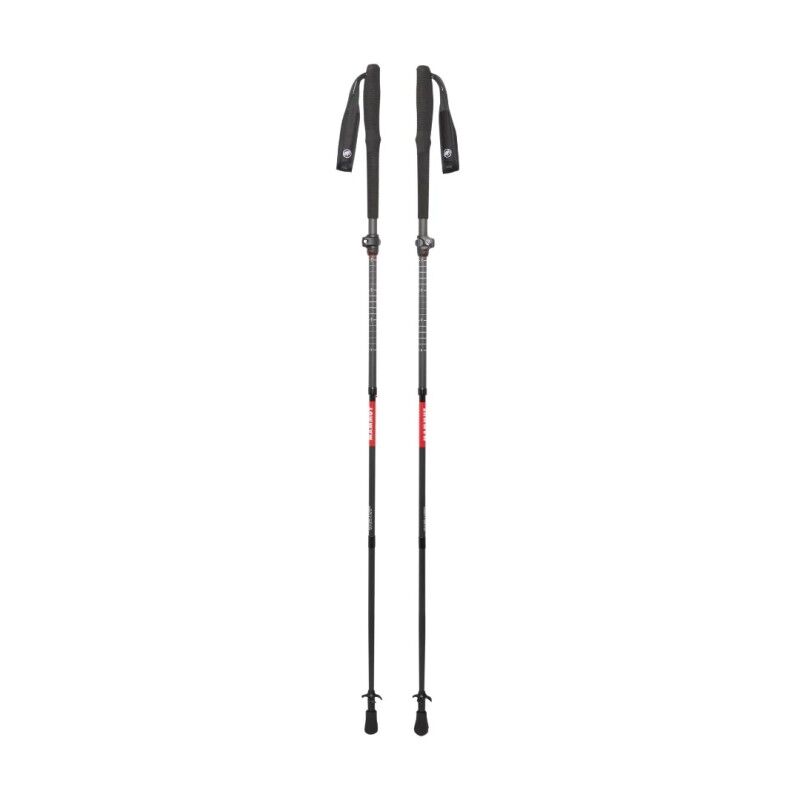 Aenergy Ultra Vario Carbon - Running poles