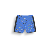 Picture Organic Clothing Sb 17 - Boardshorts męskie | Hardloop