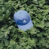 Picture Organic Clothing Atzan Bb Cap - Casquette | Hardloop