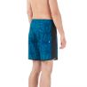 Picture Organic Clothing Andy 17 Printed - Boardshorts - Men's | Hardloop