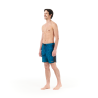 Picture Organic Clothing Andy 17 Printed - Boardshorts - Men's | Hardloop