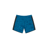 Picture Organic Clothing Andy 17 Printed - Boardshorts - Men's | Hardloop